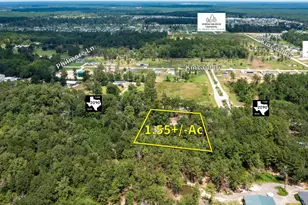 19996 Fm 2090 Rd, Conroe, TX 77306 - Photo 3