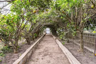 10602 Ward Rd, Tomball, TX 77375 - Photo 13