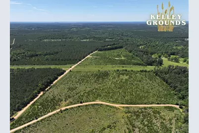 1-2 Kelley Road, Livingston, TX 77351 - Photo 3