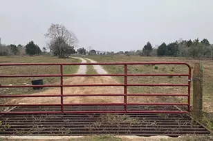 2786 Old Columbus Rd N, Sealy, TX 77474 - Photo 25