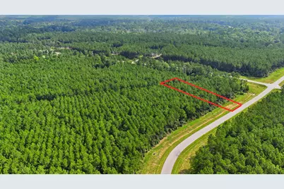 16030 Forest Mill Road, Willis, TX 77378 - Photo 5