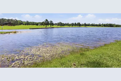 16030 Forest Mill Road, Willis, TX 77378 - Photo 13
