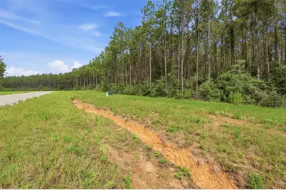 16030 Forest Mill Road, Willis, TX 77378 - Photo 3