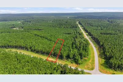 16030 Forest Mill Road, Willis, TX 77378 - Photo 7