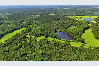 16030 Forest Mill Road, Willis, TX 77378 - Photo 11