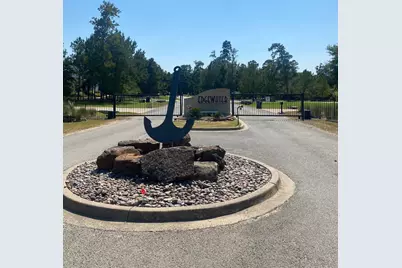 393 Ridge Lake Scenic Drive, Montgomery, TX 77316 - Photo 7