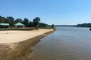 393 Ridge Lake Scenic Dr, Montgomery, TX 77316 - Photo 5