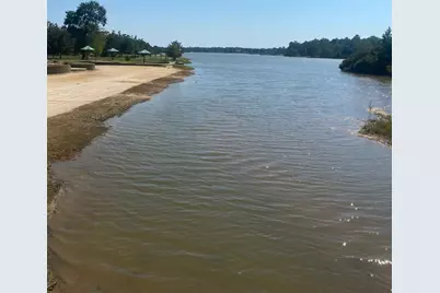 393 Ridge Lake Scenic Drive, Montgomery, TX 77316 - Photo 3