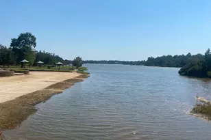 393 Ridge Lake Scenic Dr, Montgomery, TX 77316 - Photo 3