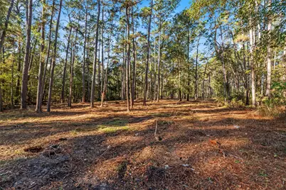 0 Fm 1485, Huffman, TX 77357 - Photo 11