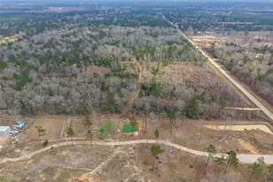 21251 Doru Dr, Cleveland, TX 77328 - Photo 5