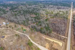 21251 Doru Dr, Cleveland, TX 77328 - Photo 3