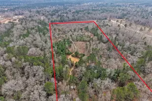 21251 Doru Dr, Cleveland, TX 77328 - Photo 29