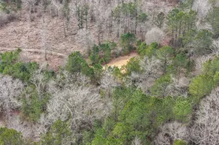 21251 Doru Dr, Cleveland, TX 77328 - Photo 25