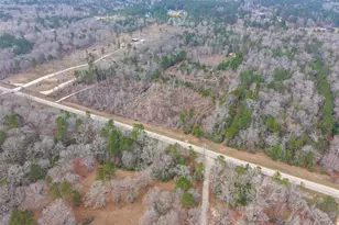 21251 Doru Dr, Cleveland, TX 77328 - Photo 13