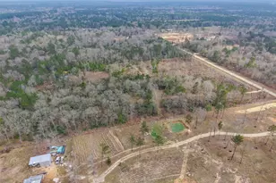 21251 Doru Dr, Cleveland, TX 77328 - Photo 19