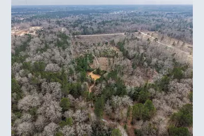 21251 Doru Drive, Cleveland, TX 77328 - Photo 31