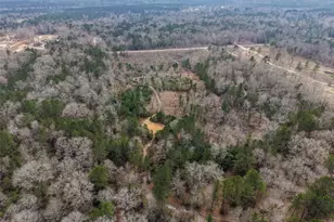 21251 Doru Dr, Cleveland, TX 77328 - Photo 31