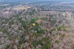 21251 Doru Dr, Cleveland, TX 77328 - Photo 15