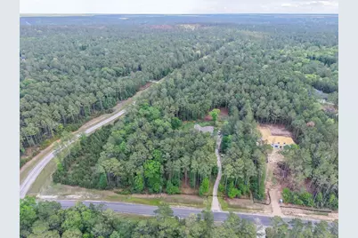 411 Sundog Road, Huntsville, TX 77340 - Photo 11