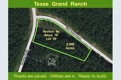 411 Sundog Road, Huntsville, TX 77340 - Photo 47