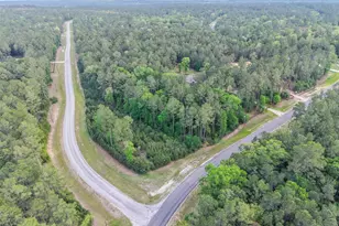 411 Sundog Rd, Huntsville, TX 77340 - Photo 1