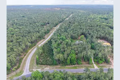 411 Sundog Road, Huntsville, TX 77340 - Photo 9