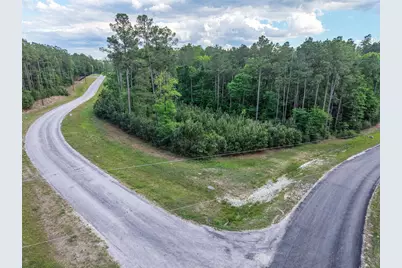411 Sundog Road, Huntsville, TX 77340 - Photo 7