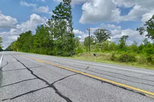 17171 E Fm 1097 Rd, Willis, TX 77378 - Photo 9