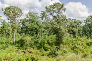 17171 E Fm 1097 Rd, Willis, TX 77378 - Photo 13