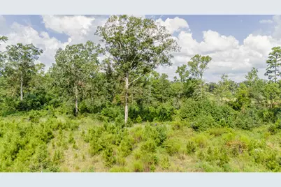 17171 E Fm 1097 Road, Willis, TX 77378 - Photo 15