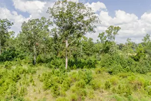 17171 E Fm 1097 Rd, Willis, TX 77378 - Photo 15