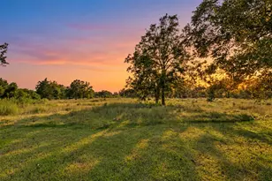3014 FM 524 Rd, Sweeny, TX 77480 - Photo 1