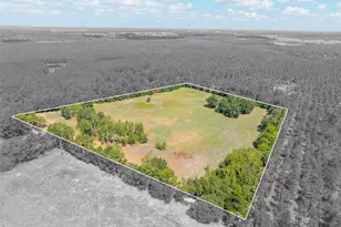 Tbd Cr 3365, Lovelady, TX 75851 - Photo 1