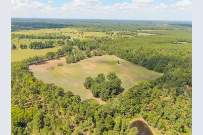 Tbd Cr 3365, Lovelady, TX 75851 - Photo 7