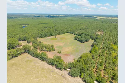 Tbd Cr 3365, Lovelady, TX 75851 - Photo 3