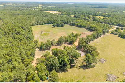 Tbd Cr 3365, Lovelady, TX 75851 - Photo 5