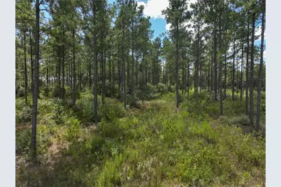1 Richardson Road East, Livingston, TX 77351 - Photo 5