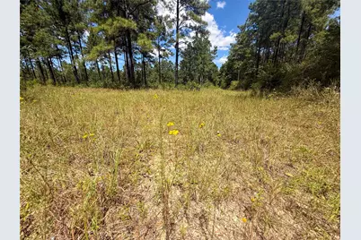 1 Richardson Road East, Livingston, TX 77351 - Photo 11