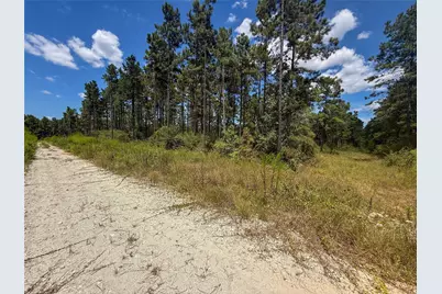 1 Richardson Road East, Livingston, TX 77351 - Photo 9