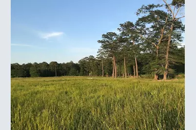 0.00 County Road 2178, Cleveland, TX 77327 - Photo 11