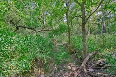 2612 Tiemann Road, New Ulm, TX 78950 - Photo 39