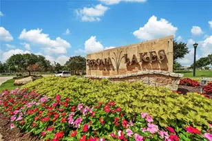 3910 Lupin Bush Ln, Manvel, TX 77578 - Photo 25