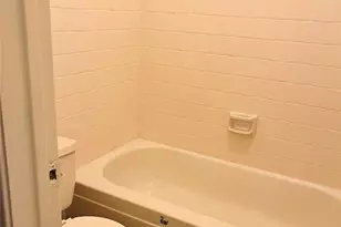 16633 Gold Ridge Ln, Houston, TX 77053 - Photo 13