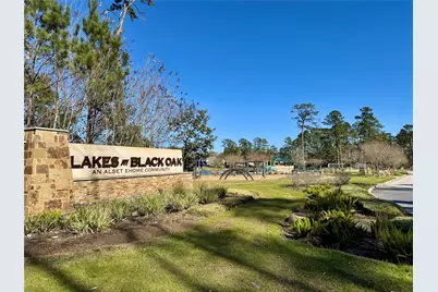 271 Brazen Forest Trail, Magnolia, TX 77354 - Photo 29