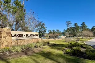 271 Brazen Frst Trl, Magnolia, TX 77354 - Photo 29