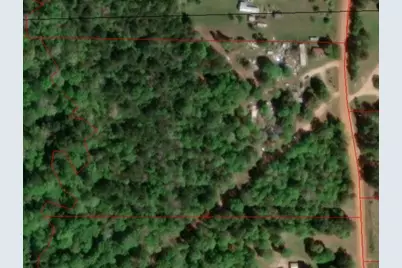 1031 Plantation Drive, Livingston, TX 77351 - Photo 3