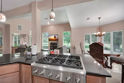 2750 County Road 48, Rosharon, TX 77583 - Photo 15