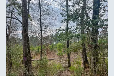 3 Union Springs Road, Corrigan, TX 75939 - Photo 11