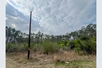 3 Union Springs Road, Corrigan, TX 75939 - Photo 13